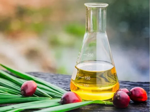 Refined palm oil