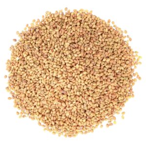 Clover seeds
