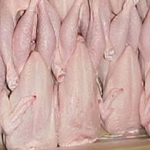 Frozen chicken